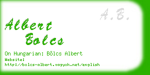 albert bolcs business card